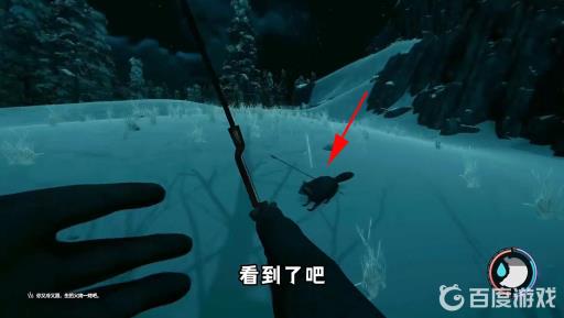 森林熊在哪里?5