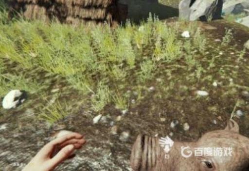 theforest怎么丢弃背包里的东西?2