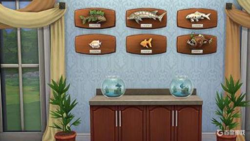 模拟人生4金鱼喜欢什么?_模拟人生4金鱼草花