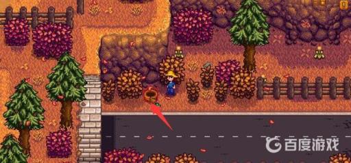 星露谷物语边远森林怎么去?3