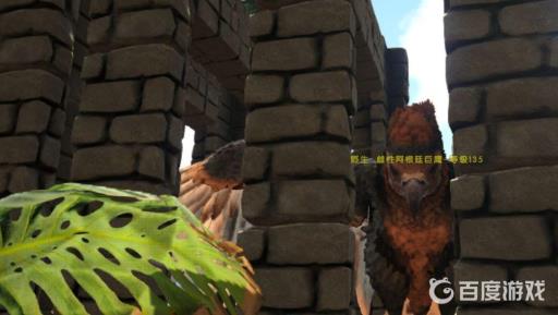 方舟阿根廷巨鹰怎么驯服?6