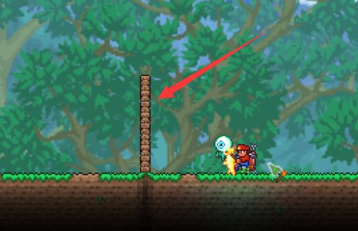 泰拉瑞亚怎么防穿墙怪?2