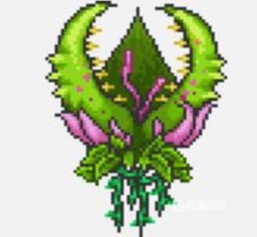 泰拉瑞亚新手boss顺序是什么?11