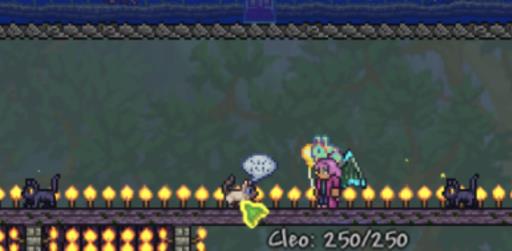 泰拉瑞亚新出的猫有什么用?3