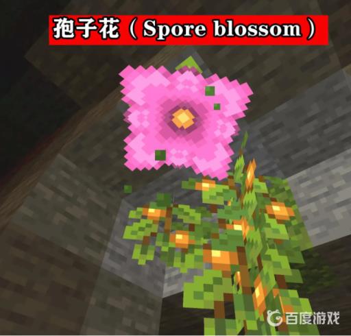 我的世界孢子花怎么放置?2