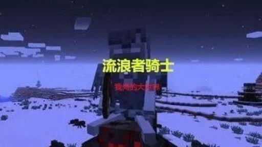 mc最稀有的十种骷髅是啥?3