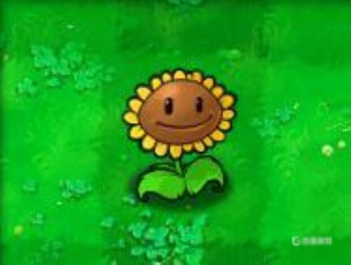 植物大战僵尸1植物顺序表是什么?2