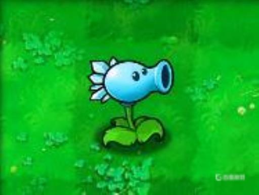 植物大战僵尸1植物顺序表是什么?6