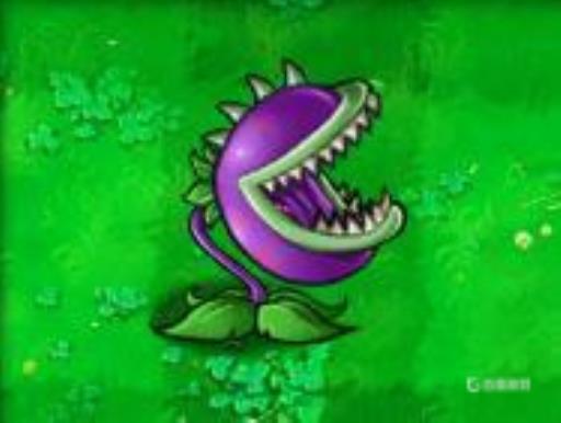 植物大战僵尸1植物顺序表是什么?7