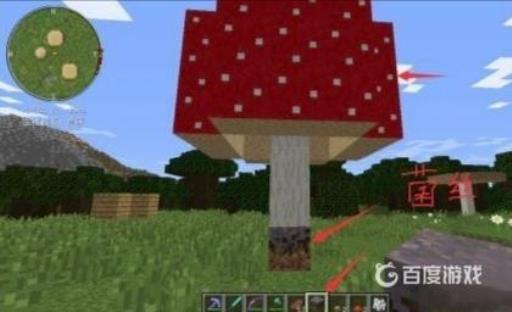 我的世界怎么种蘑菇?9