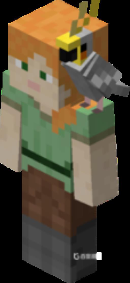 鹦鹉怎么驯服?3