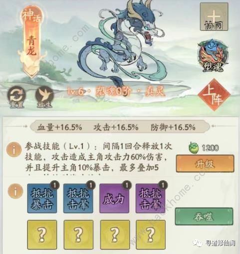 寻道大千减伤流搭配攻略2