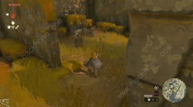 王国之泪呀哈哈机关解谜攻略9