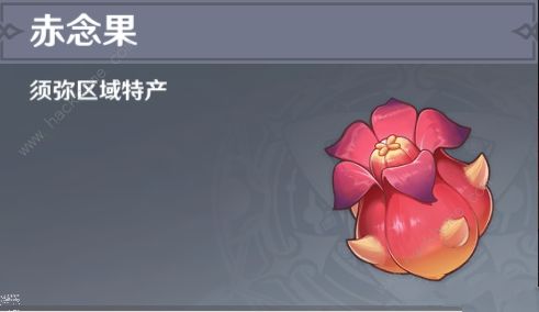 原神赤念果位置大全_原神赤假鱼位置 原神赤念果位置大全_原神赤假鱼位置