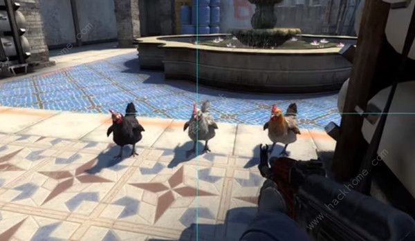 csgo怎么养鸡_csgo 养鸡