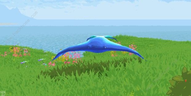 创造与魔法天空果实位置介绍2