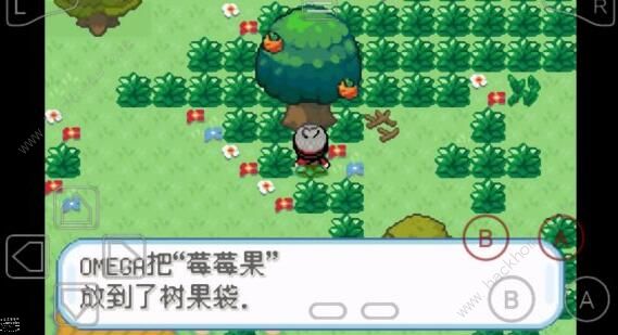 口袋妖怪剑盾gba攻略大全3