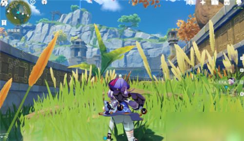 原神灵矩金色大树下的宝藏在哪1