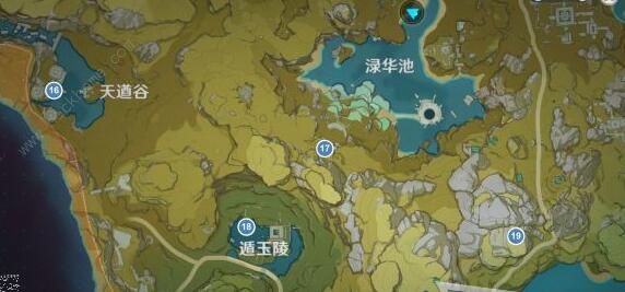 原神华丽的宝箱位置大全10