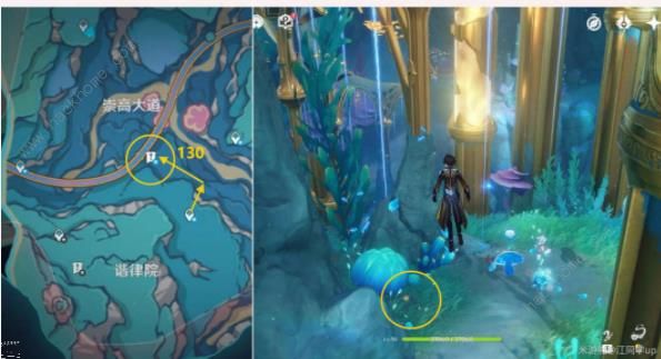 原神4.6旋曜玉帛新增点在哪6