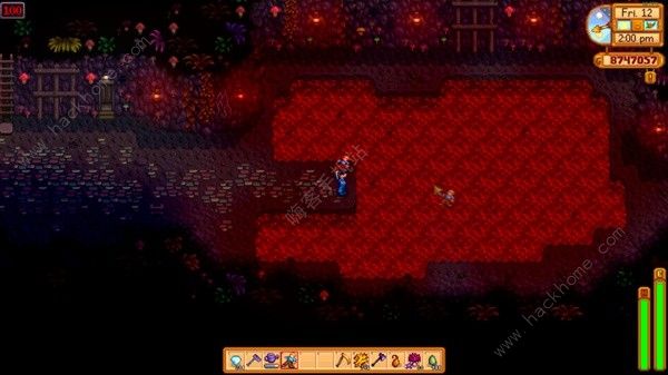 星露谷物语喵刀怎么得1