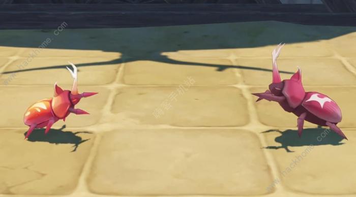 原神4.3荒泷斗虫修行第三天攻略_原神4.3荒泷斗虫修行第三天玩法