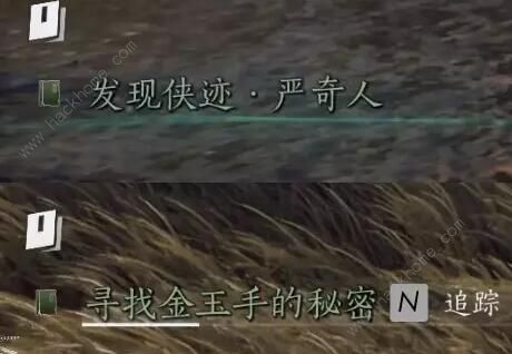 燕云十六声侠迹卷三严奇人任务怎么做4