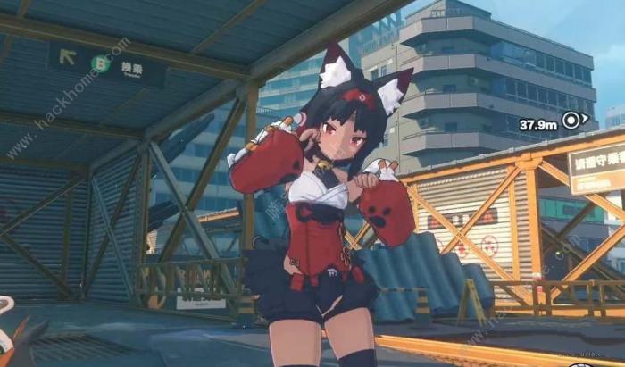 绝区零猫又大招是什么2