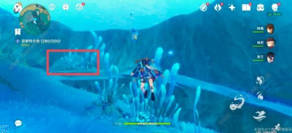 原神4.2水形幻人锚点在哪5