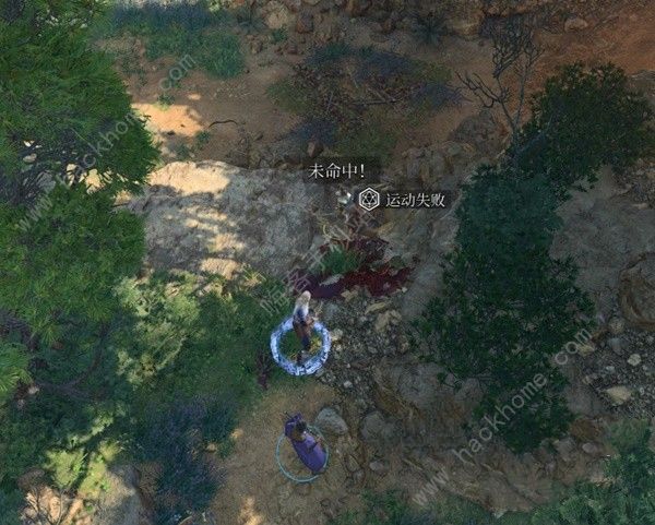 博德之门3攻略大全3