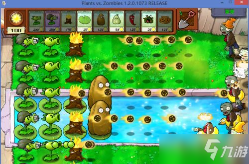 《植物大战僵尸》坚不可摧关卡怎么过 坚不可摧打法攻略推荐