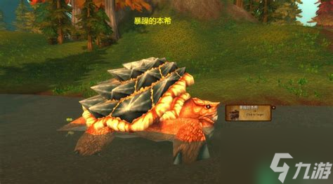 魔兽世界怀旧服龟壳在哪里刷_怀旧服 龟壳 魔兽世界怀旧服龟壳在哪里刷_怀旧服 龟壳