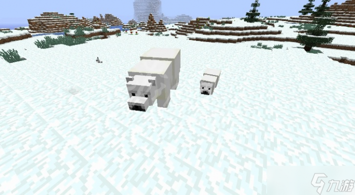 我的世界怎么喂北极熊_我的世界北极熊吃什么食物 视频