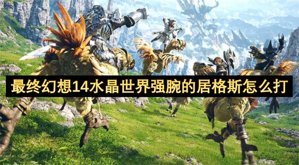 最终幻想14强腕的居格斯怎么打1