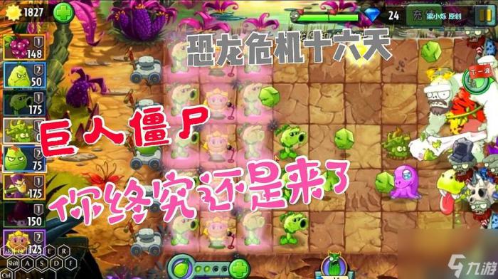 植物大战僵尸2第一关通关攻略2