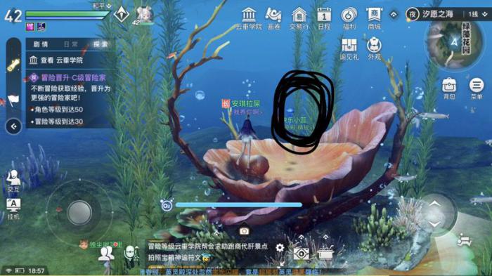 天谕手游水母之梦任务怎么完成1