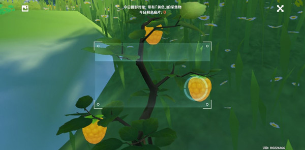 原神带有黄色的采集物拍照位置汇总2