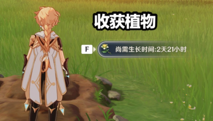 原神家园田地怎么放2