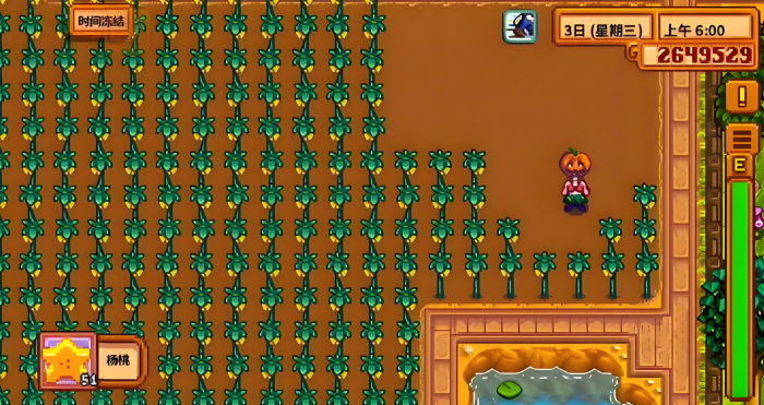 星露谷物语收益最高的作物是什么1