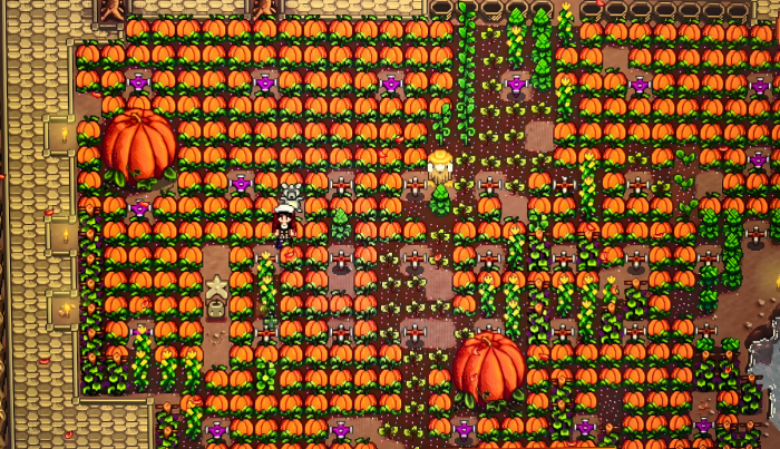 星露谷物语收益最高的作物是什么3