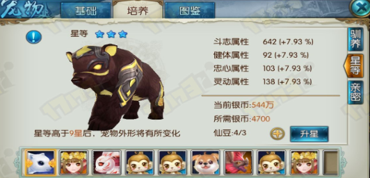 新诛仙手游棕小熊怎么获得1