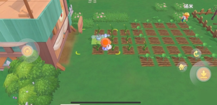 摩尔庄园怎么种植物2