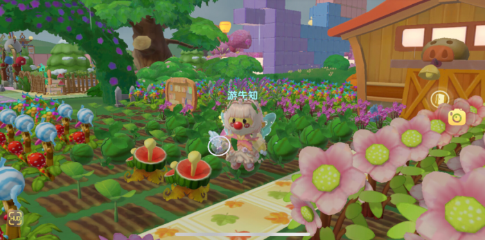 摩尔庄园怎么得到西瓜1