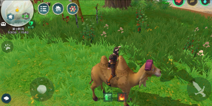 创造与魔法辣椒在哪刷2