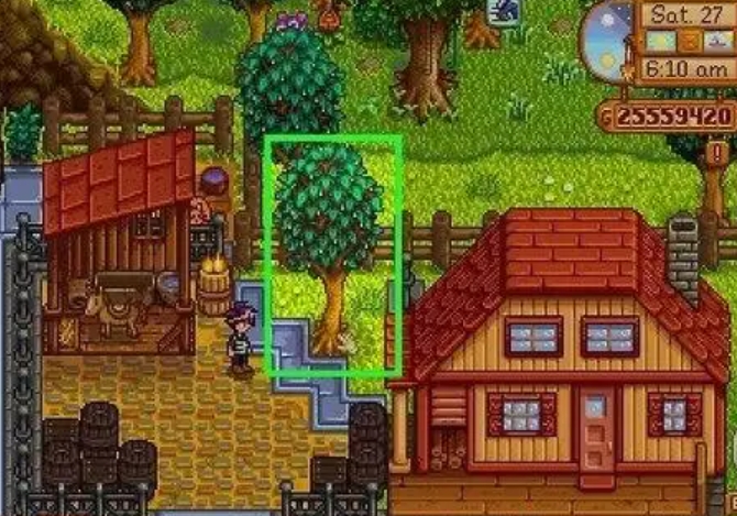 星露谷物语枫树怎么种3