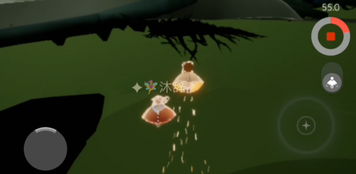 光遇黑鸟要注意什么1