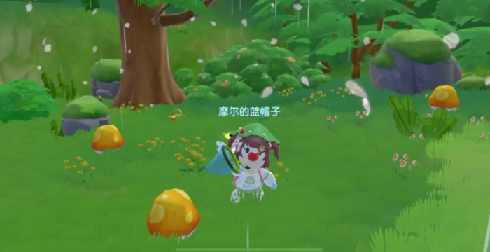 摩尔庄园曼陀罗种子可以从哪里获得3