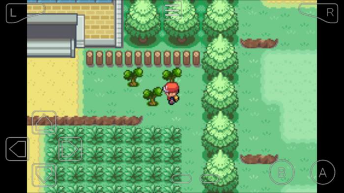 口袋妖怪火红有没有什么方法能轻松通过火红冠军之路山洞1