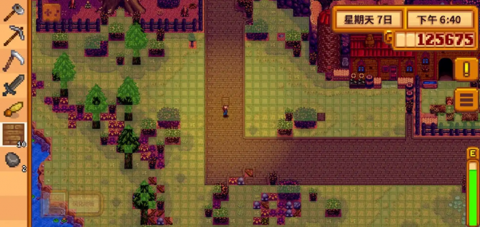 星露谷物语地面铺什么1