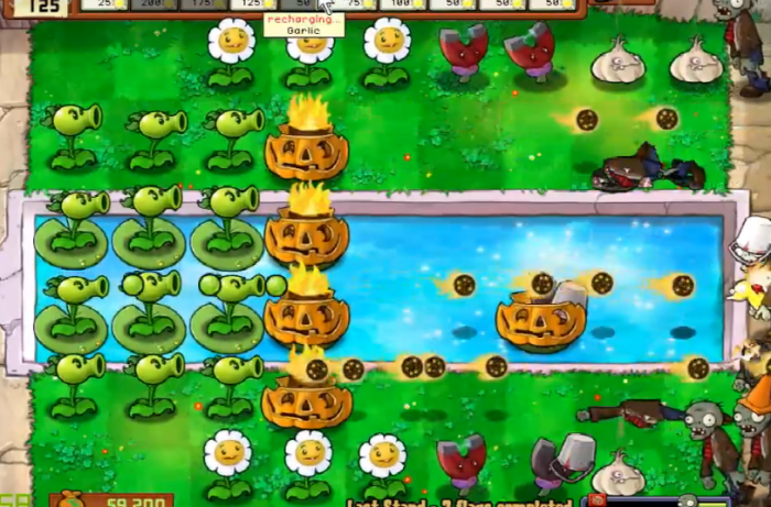 植物大战僵尸里坚不可摧是什么2